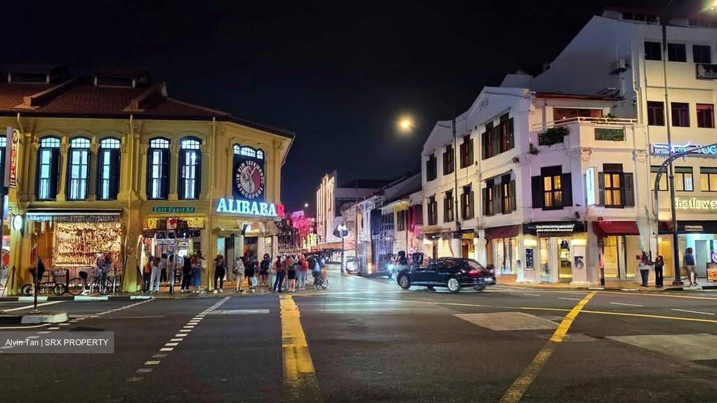 Joo Chiat Mansions (D15), Shop House #595219581
